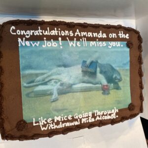 Going Away Party Cake for Amanda! Dec, 2021